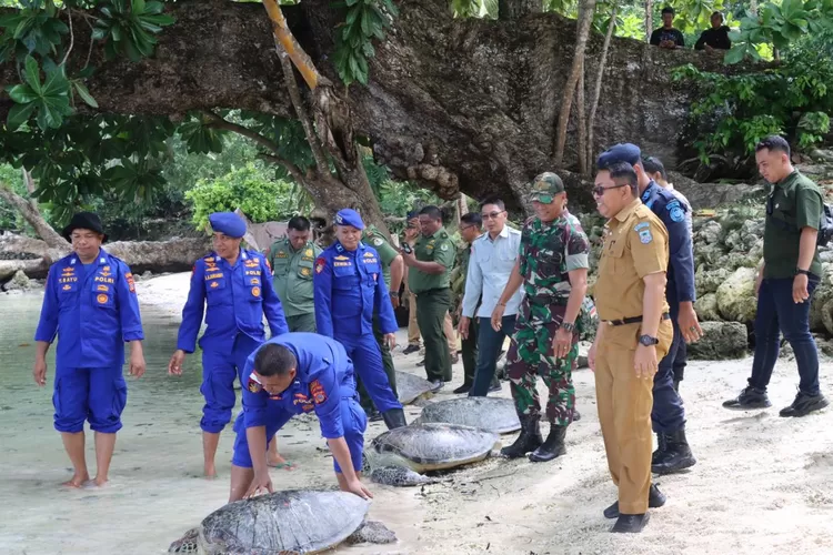 9 Penyu Sisik Hijau Berhasil Dikembalikan ke Laut, Kapolres Bangkep Ingatkan Nelayan Jangan Tangkap Hewan Dilindungi