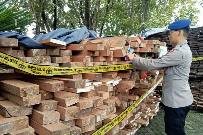Ditpolairud Polda Kalsel Gagalkan Penyelundupan 32 Meter Kubik Meranti