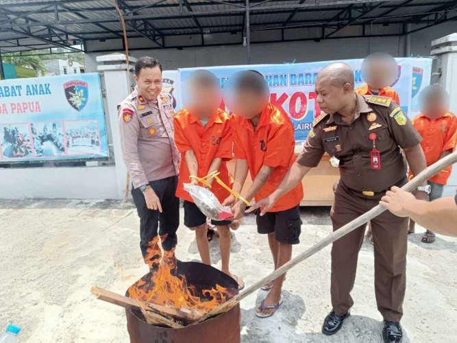 Polda Papua Musnahkan Barang Bukti Narkotika Jenis Ganja