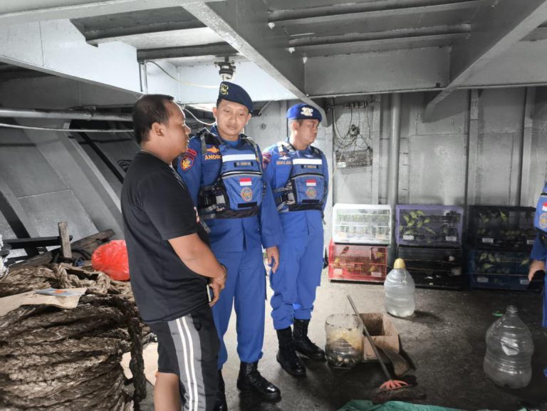 KP. Tekukur–5010 Amankan Ratusan Satwa Dilindungi di Perairan Kendari